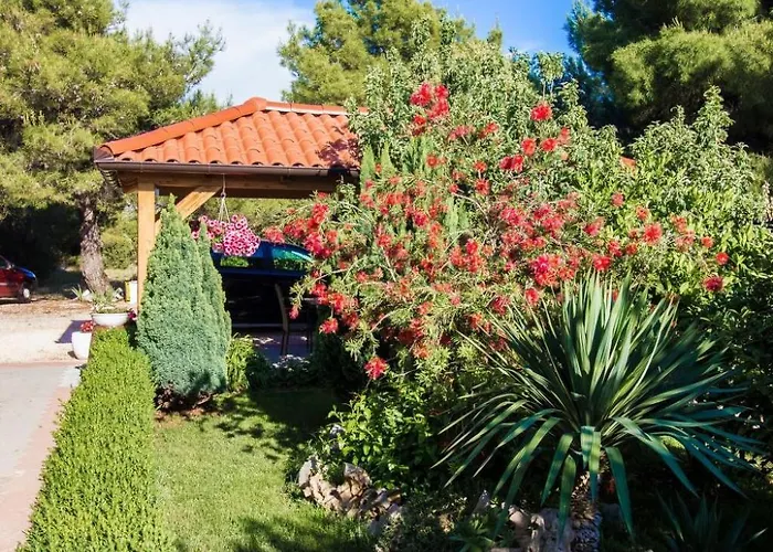 Apartment Apartmani Vesna Grebastica By Interhome Apartament *