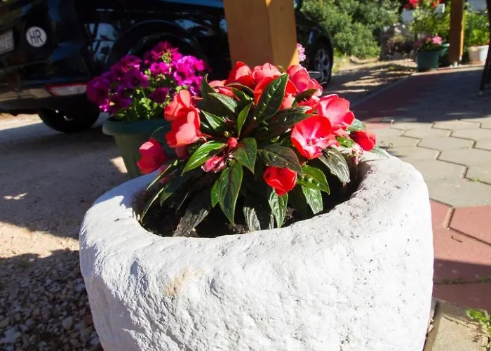 Apartament Apartment Apartmani Vesna Grebastica By Interhome *